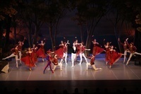 Schwanensee - St. Petersburg Festival Ballett